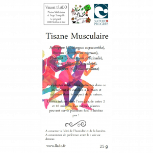 Tisane musculaire - Vincent Llado